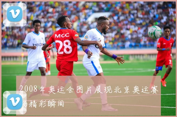 2008年奥运会图片展现北京奥运赛场精彩瞬间