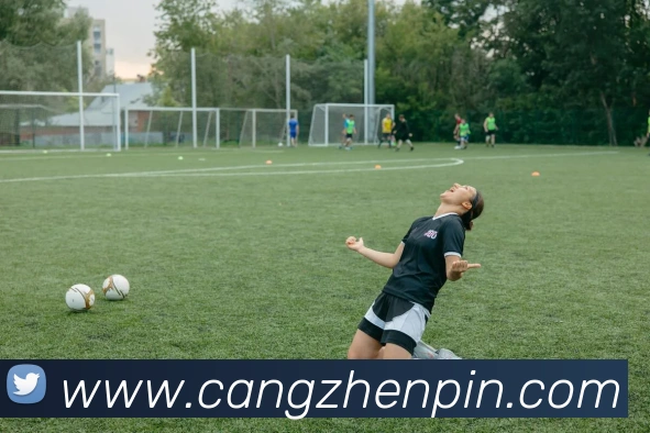 投注app官网平台生态图