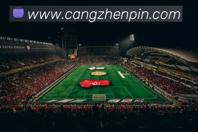 投注app官网APP 封面图