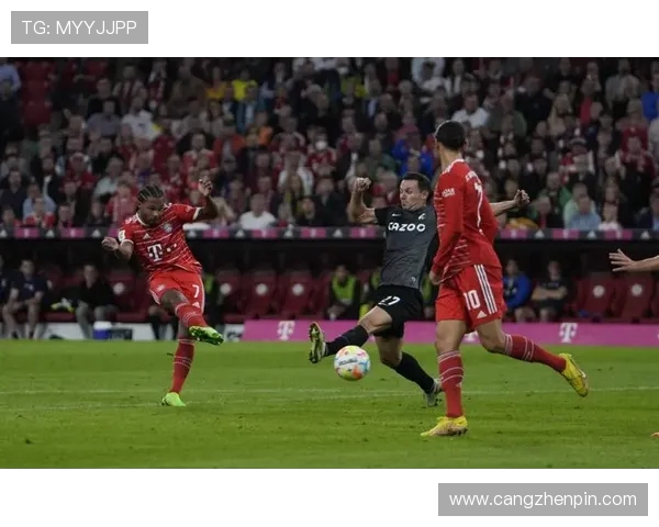 德甲球队弗赖堡队歌：了解德甲弗赖堡队的队歌与文化